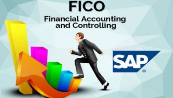 SAP-FICO ig