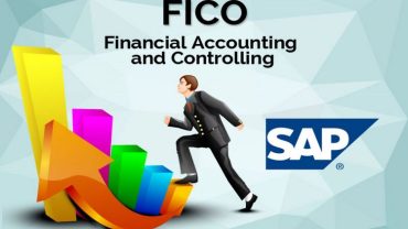 SAP-FICO ig