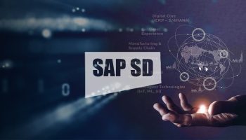 SAP-SD